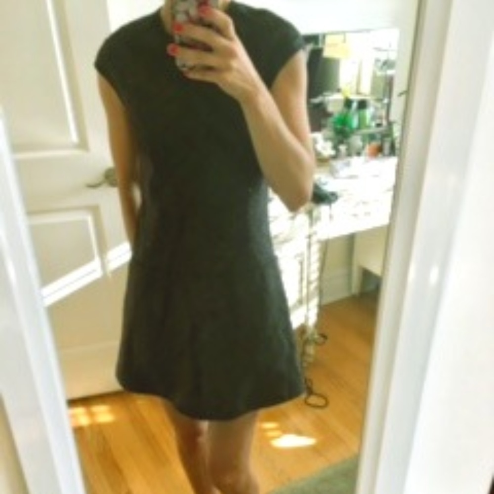 Theory Dress